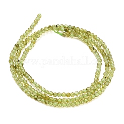 Natural Peridot Beads Strands&nbsp;G-A322-A07-2mm