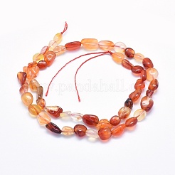 Natural Carnelian Beads Strands&nbsp;G-G765-52