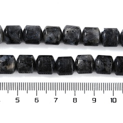 Natural Larvikite Beads Strands&nbsp;G-L604-E07-01