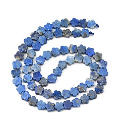 Natural Lapis Lazuli Beads Strands&nbsp;G-B138-C22-01