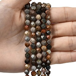 Natural Picasso Jasper Beads Strands&nbsp;G-Z119-A25-02