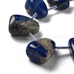 Natural Sodalite Beads Strands&nbsp;G-P528-E12-01