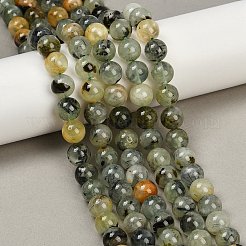 Natural Prehnite Beads Strands&nbsp;X-G-P322-48-10mm-01
