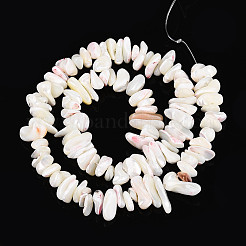 Natural Trochid Shell/Trochus Shell Beads Strands&nbsp;SSHEL-T017-29