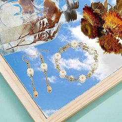 20Pcs Natural Freshwater Shell Beads&nbsp;PEAR-NB0001-14