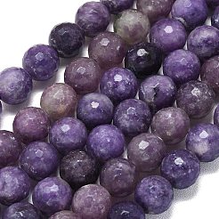 Natural Lepidolite/Purple Mica Beads Strands&nbsp;G-B165-A11-10mm