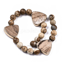 Natural Picture Jasper Strands&nbsp;G-T131-65