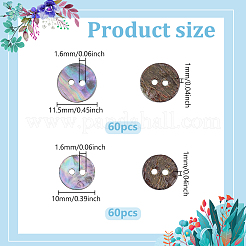 120Pcs 2 Styles Natural Paua Shell Buttons&nbsp;BUTT-ME0001-43