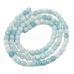 Natural Flower Amazonite Beads Strands&nbsp;GG-CBA0C5B-A02