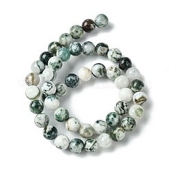 Natural Tree Agate Beads Strands&nbsp;G-K194-8mm-02