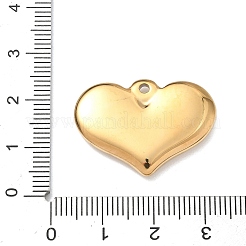 304 Stainless Steel Pendants&nbsp;STAS-G361-06G