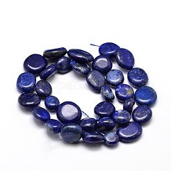 Natural Lapis Lazuli Gemstone Nuggets Bead Strands&nbsp;X-G-J336-31