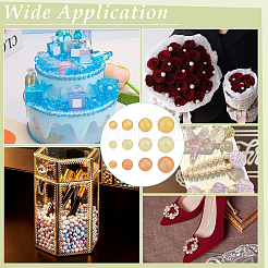2610Pcs Resin Imitation Pearl Beads&nbsp;RESI-PH0002-54A