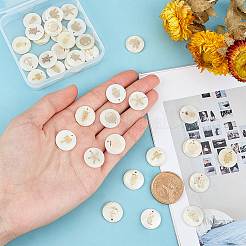 40Pcs 10 Style Natural Freshwater Shell Pendants&nbsp;SHEL-PH0001-20