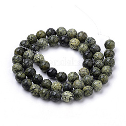 Natural Serpentine/Green Lace Stone Beads Strands&nbsp;G-S259-15-10mm