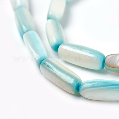 Freshwater Shell Beads Strands&nbsp;BSHE-O017-03A