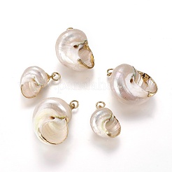 Electroplate Spiral Shell Pendants&nbsp;BSHE-L036-02G