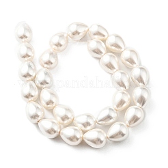 Teardrop Shell Pearl Bead Strands&nbsp;BSHE-L015-12x16-01