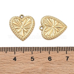 304 Stainless Steel Pendants&nbsp;STAS-L022-578G