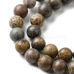 Natural Dendritic Jasper Beads Strands&nbsp;G-E598-01