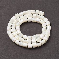 Natural Sea Shell Column Bead Strands&nbsp;SSHEL-M014-22-A