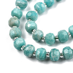 Natural Amazonite Beads Strands&nbsp;G-N327-08F