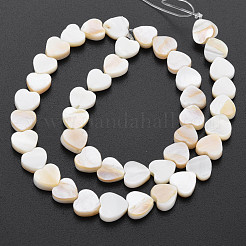 Natural Freshwater Shell Beads Strands&nbsp;SHEL-S276-70