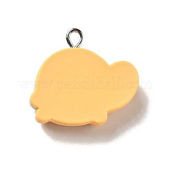 Opaque Resin Pendants&nbsp;RESI-G043-E05