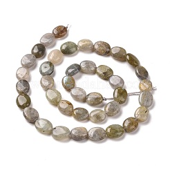 Natural Labradorite Beads Strands&nbsp;G-C238-37