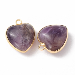 Natural Amethyst Pendants&nbsp;G-C005-01G-16