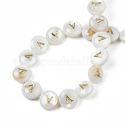 Natural Freshwater Shell Beads&nbsp;SHEL-S276-168A