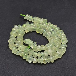 Natural Prehnite Chip Beads Strands&nbsp;G-E271-99