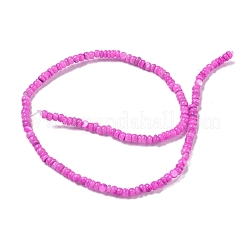 Dyed Natural Freshwater Shell Beads Strands&nbsp;X1-BSHE-G039-07L
