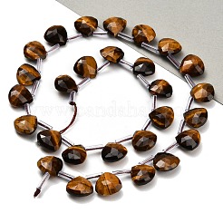 Natural Tiger Eye Beads Strands&nbsp;G-C292-A08-01