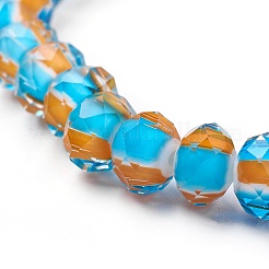 Handmade Lampwork Beads Strands&nbsp;LAMP-F014-F01-B