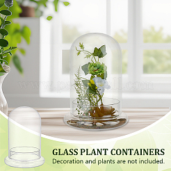 Glass Dome Cover&nbsp;DJEW-WH0099-06C