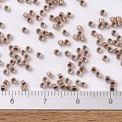 MIYUKI Delica Beads&nbsp;X-SEED-J020-DB0037