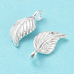 925 Sterling Silver Charms&nbsp;STER-E069-01S