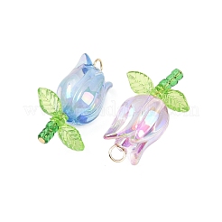 Acrylic Pendants&nbsp;PALLOY-JF03535-01