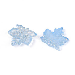 Baking Paint Transparent Glass Pendants&nbsp;DGLA-N014-11A-01