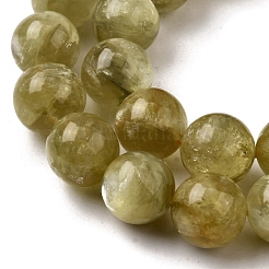 Natural Lepidolite Beads Strands&nbsp;G-F799-B02-12mm