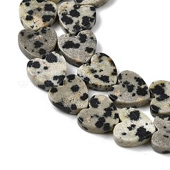 Natural Dalmatian Jasper Beads Strands&nbsp;G-M403-A31-03