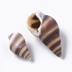 Natural Spiral Shell Beads&nbsp;SSHEL-S258-84