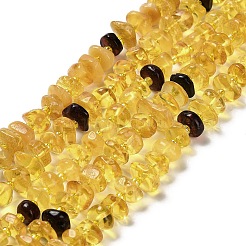 Natural Amber Beads Strands&nbsp;G-L095-I01-01