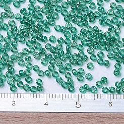 MIYUKI Round Rocailles Beads&nbsp;SEED-G007-RR0295