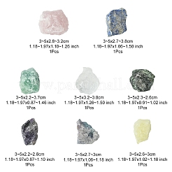 8Pcs Natural Lapis Lazuli & Ruby in Zoisite & Rose Quartz & Quartz Crystal & Amethyst & Fluorite & Citrine & Green Fluorite Tumbled Stone Sets&nbsp;DIY-FS0007-10A