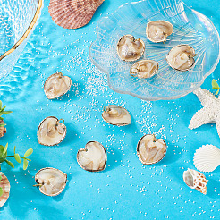 10Pcs Natural Shell Pendants&nbsp;PALLOY-TAC0204