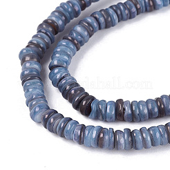 Natural Freshwater Shell Beads Strands&nbsp;SHEL-Q028-01G