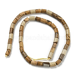 Natural Picture Jasper Beads Strands&nbsp;G-Q1008-A11