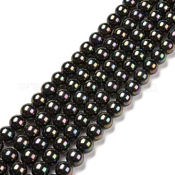 Shell Pearl Bead Strands&nbsp;BSHE-L025-05-6mm